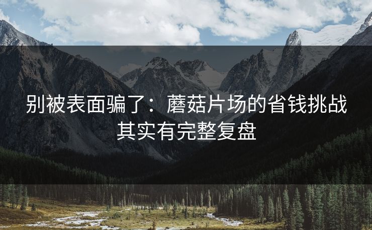 别被表面骗了:蘑菇片场的省钱挑战其实有完整复盘