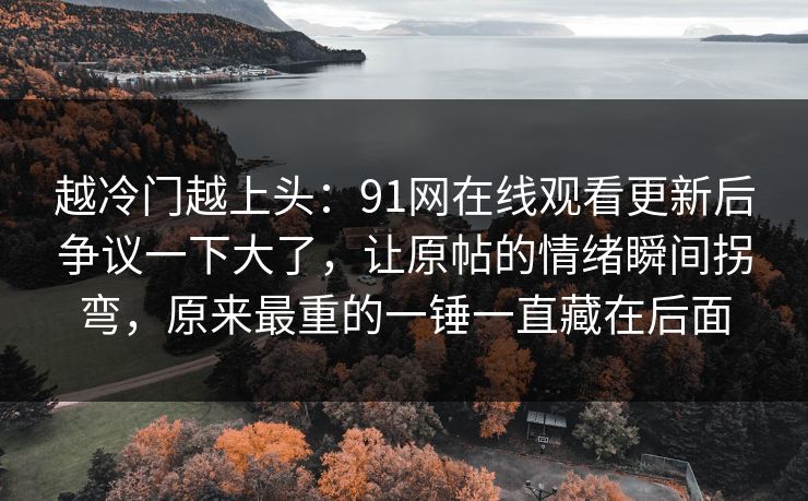越冷门越上头：91网在线观看更新后争议一下大了，让原帖的情绪瞬间拐弯，原来最重的一锤一直藏在后面